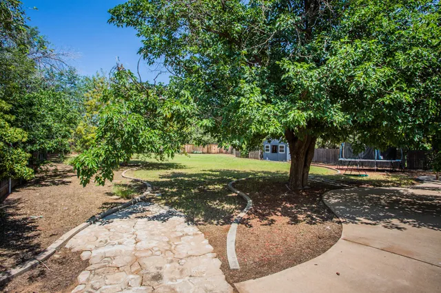 a view of a tree in the middle of a yard