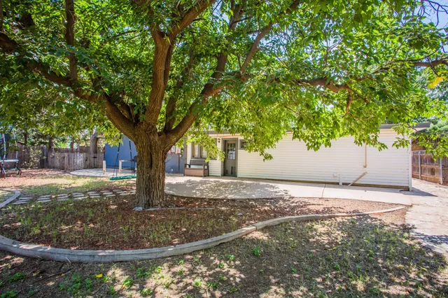 a view of a yard with a tree