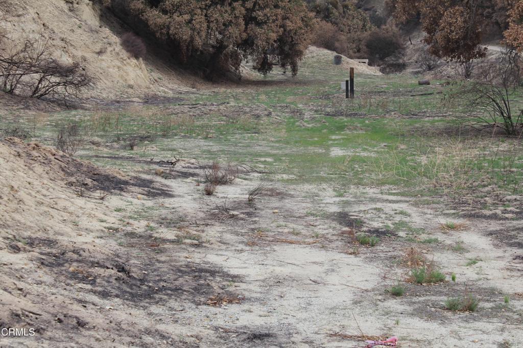 31029 Hasley Canyon Road Castaic, CA 91384 - Photo 16 of 25 a fire hydrant in the middle of a field