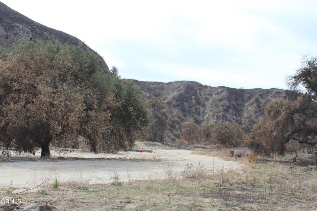 31029 Hasley Canyon Road Castaic, CA 91384 - Photo 2 of 25 a view of a yard with mountain