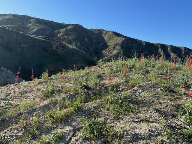 31029 Hasley Canyon Road Castaic, CA 91384 - Photo 2 of 27 a view of a backyard