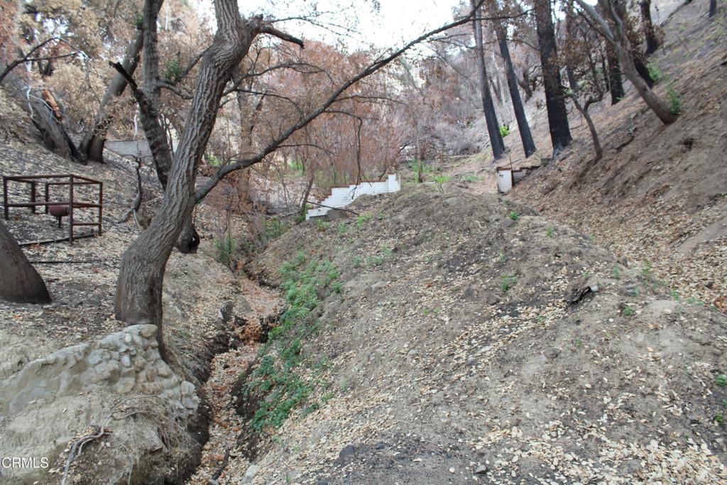31029 Hasley Canyon Road Castaic, CA 91384 - Photo 21 of 25 a view of a yard covered with snow