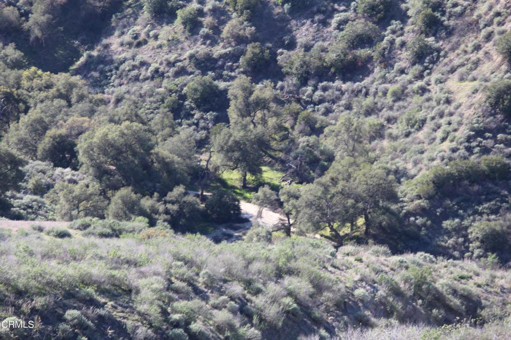 31029 Hasley Canyon Road Castaic, CA 91384 - Photo 23 of 25 a view of a dry space with lots of trees