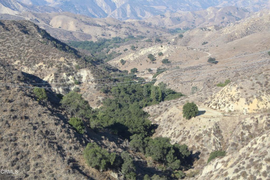 31029 Hasley Canyon Road Castaic, CA 91384 - Photo 25 of 25 a view of a yard with a tree