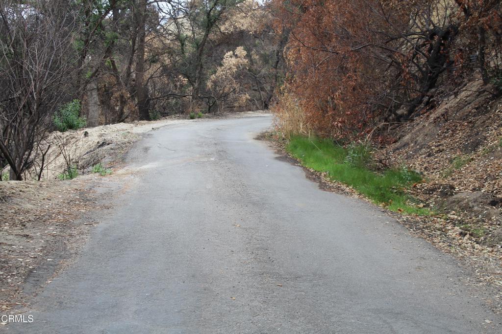 31029 Hasley Canyon Road Castaic, CA 91384 - Photo 26 of 27 a view of a dirt road with trees in the background