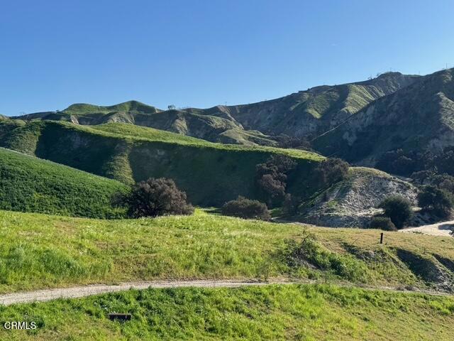 31029 Hasley Canyon Road Castaic, CA 91384 - Photo 4 of 27 a view of a yard with an ocean