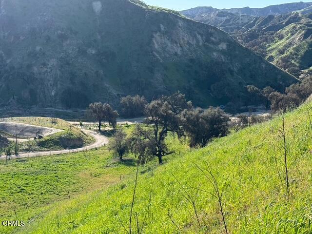 31029 Hasley Canyon Road Castaic, CA 91384 - Photo 5 of 27 a view of an outdoor space