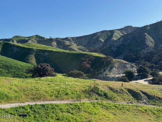 31029 Hasley Canyon Road Castaic, CA 91384 - Photo 6 of 27 a view of a yard with a area