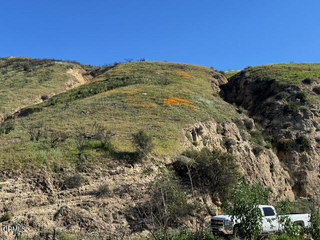 31029 Hasley Canyon Road Castaic, CA 91384 - Photo 8 of 27 a view of a large trees with lots of trees