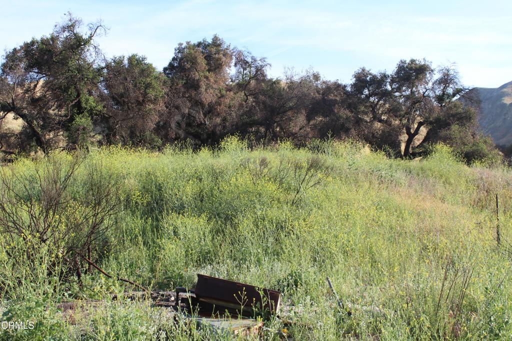 31029 Hasley Canyon Road Castaic, CA 91384 - Photo 9 of 24 IMG_2029