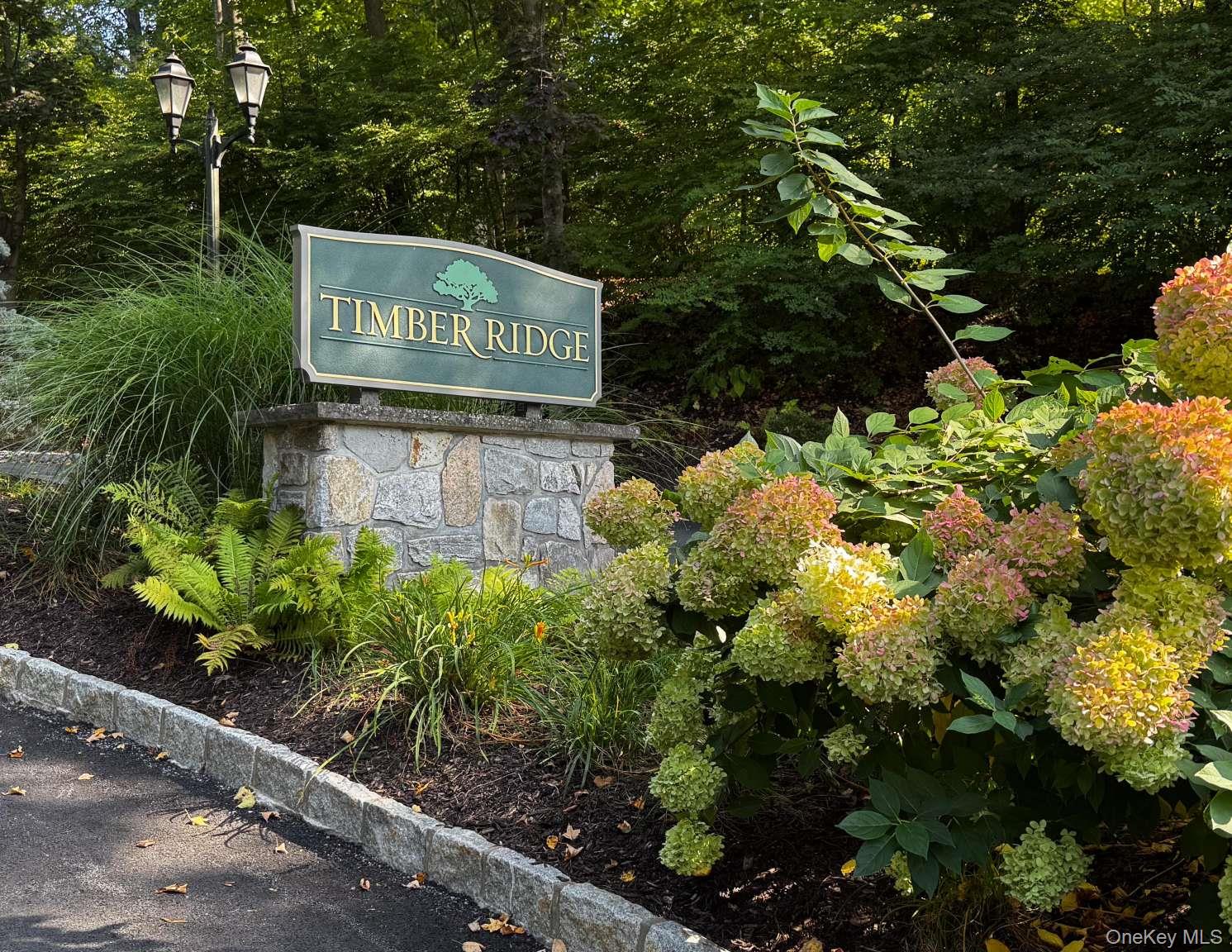 31 Timber Ridge Mount Kisco, NY 10549 - Photo 42 of 49
