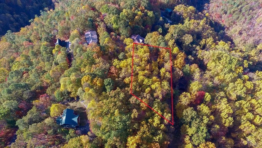 10 Shagbark Hickory Ridge Sevierville, TN 37862 - Photo 4 of 28 Gallery Image 4