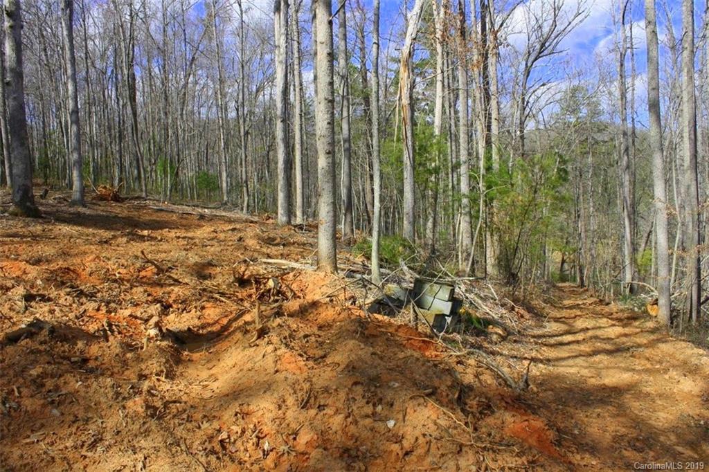 Tbd Bradley Branch Road Mars Hill, NC 28754 - Photo 11 of 20