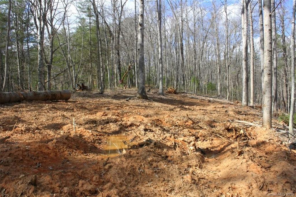Tbd Bradley Branch Road Mars Hill, NC 28754 - Photo 12 of 20