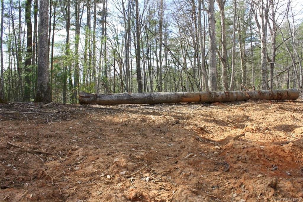 Tbd Bradley Branch Road Mars Hill, NC 28754 - Photo 13 of 20