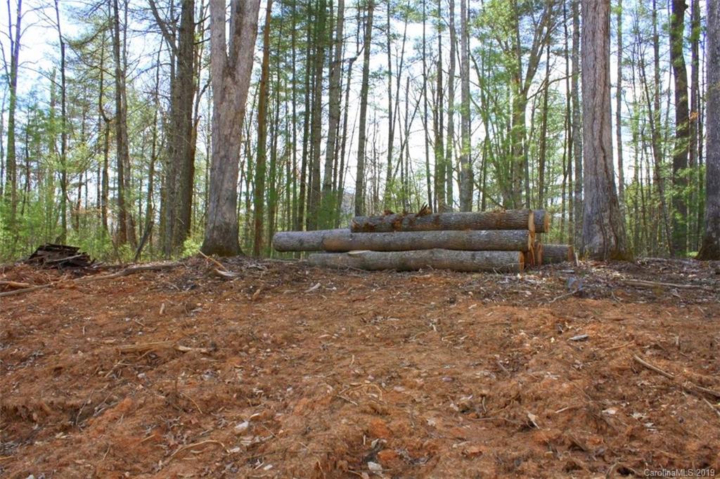 Tbd Bradley Branch Road Mars Hill, NC 28754 - Photo 14 of 20