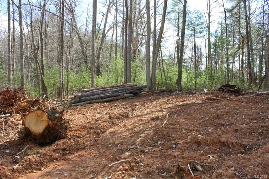 Tbd Bradley Branch Road Mars Hill, NC 28754 - Photo 15 of 20