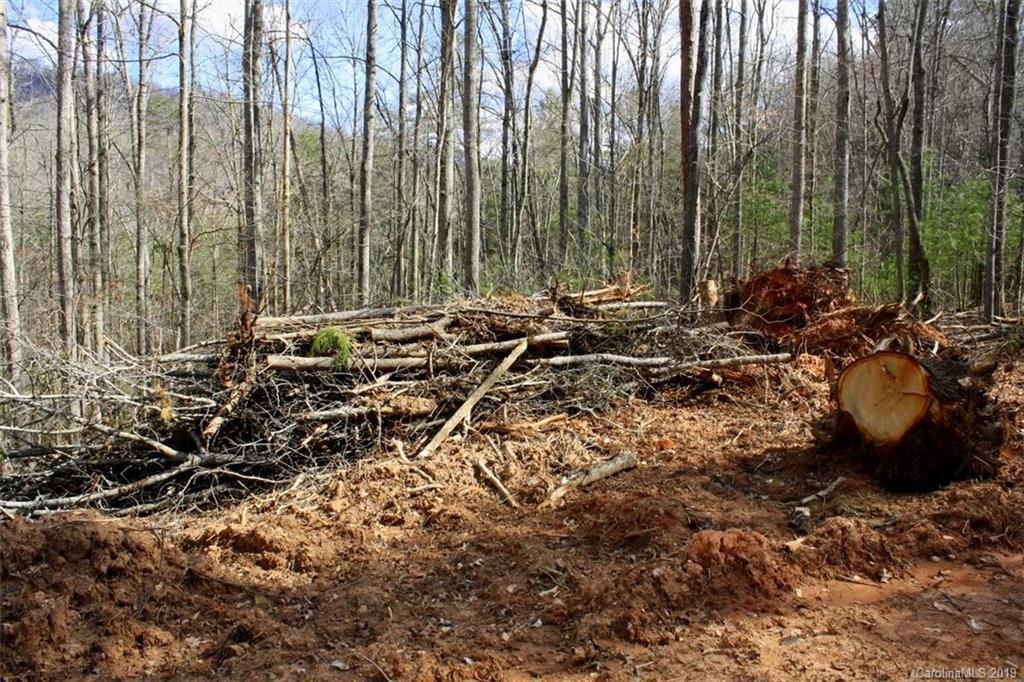 Tbd Bradley Branch Road Mars Hill, NC 28754 - Photo 16 of 20