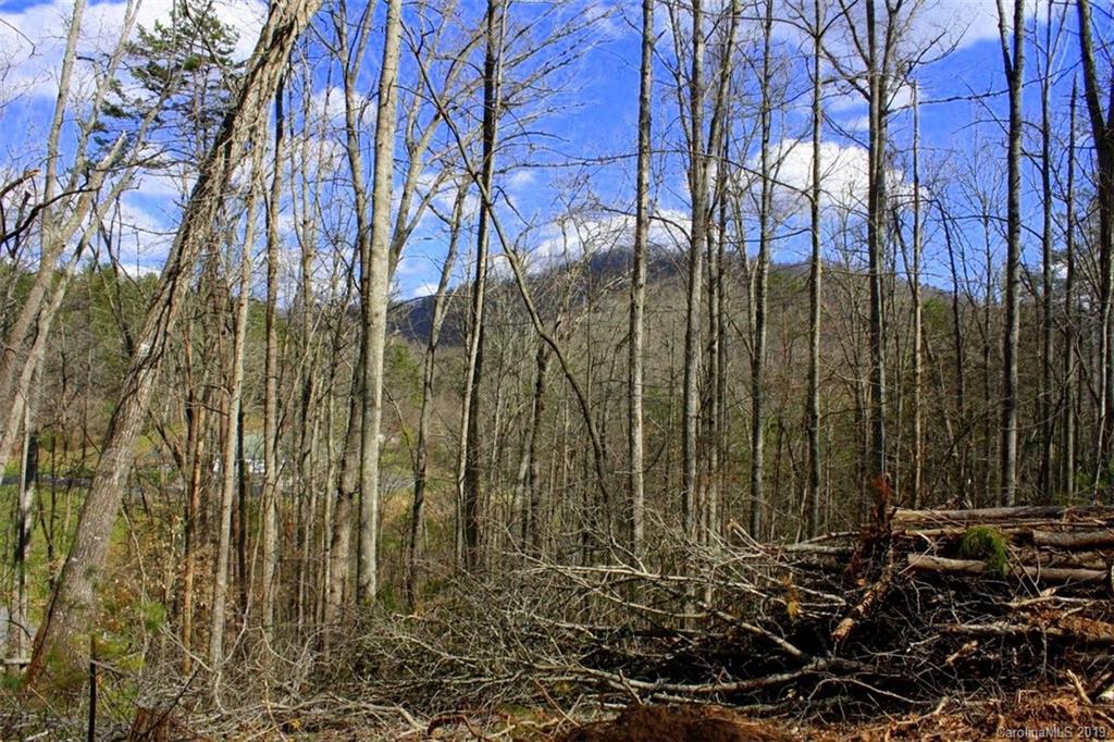 Tbd Bradley Branch Road Mars Hill, NC 28754 - Photo 17 of 20