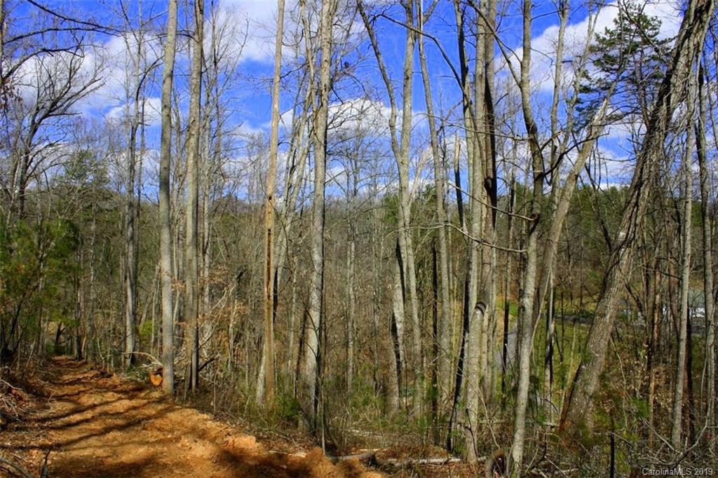 Tbd Bradley Branch Road Mars Hill, NC 28754 - Photo 18 of 20