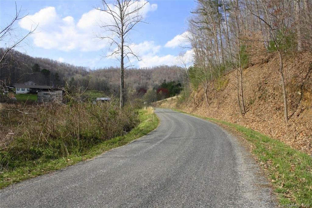 Tbd Bradley Branch Road Mars Hill, NC 28754 - Photo 19 of 20