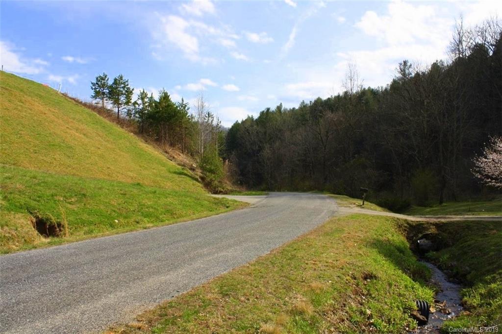 Tbd Bradley Branch Road Mars Hill, NC 28754 - Photo 20 of 20