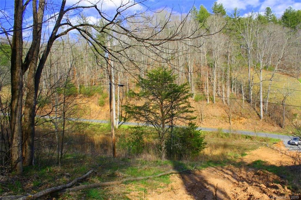 Tbd Bradley Branch Road Mars Hill, NC 28754 - Photo 5 of 20