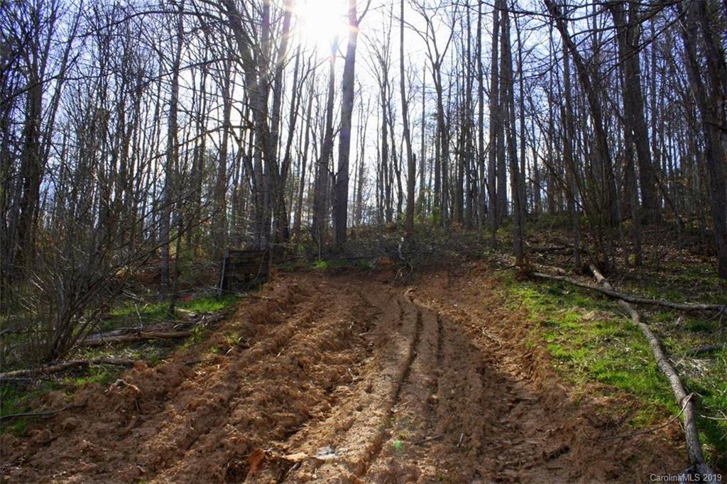 Tbd Bradley Branch Road Mars Hill, NC 28754 - Photo 6 of 20