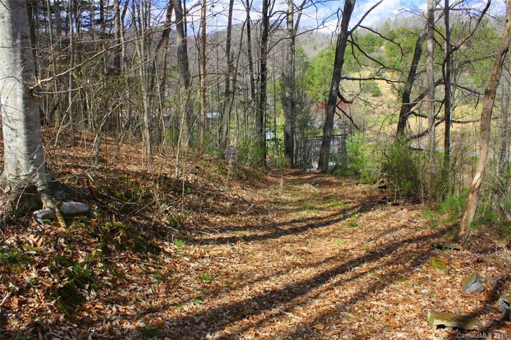 Tbd Bradley Branch Road Mars Hill, NC 28754 - Photo 7 of 20