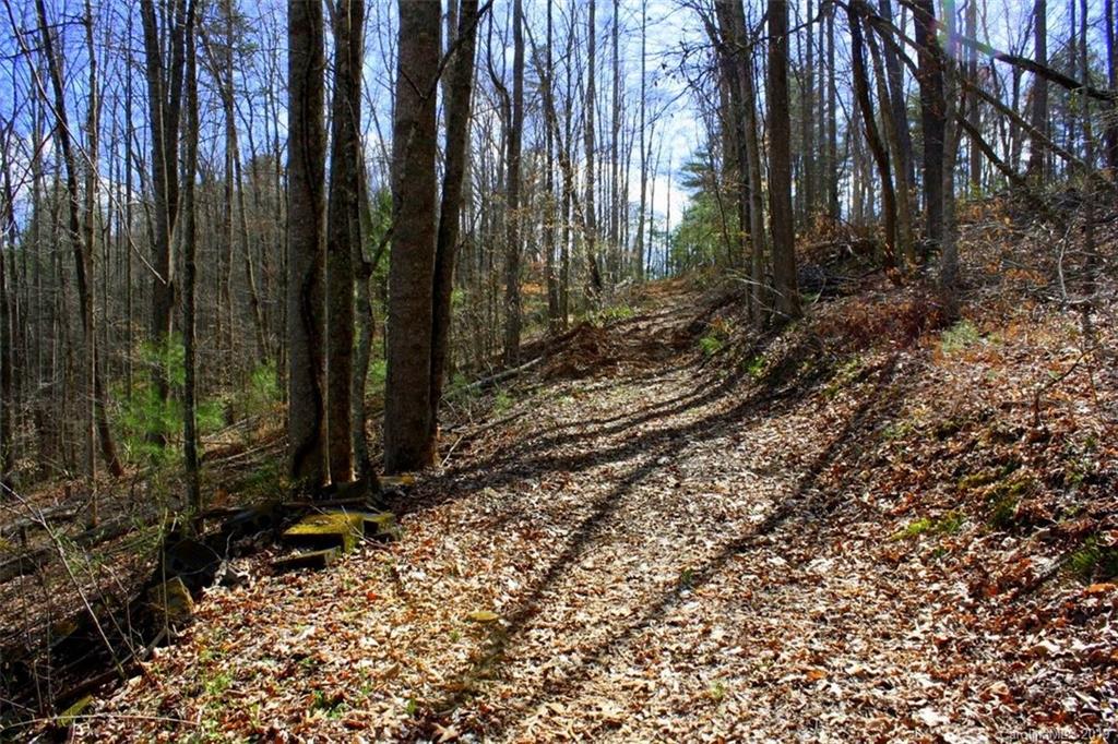 Tbd Bradley Branch Road Mars Hill, NC 28754 - Photo 8 of 20