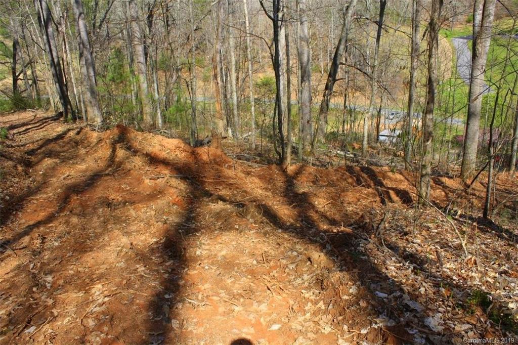 Tbd Bradley Branch Road Mars Hill, NC 28754 - Photo 9 of 20