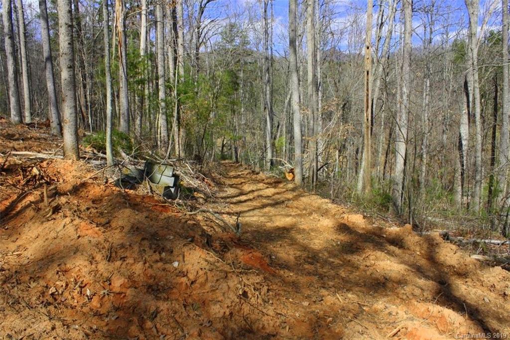 Tbd Bradley Branch Road Mars Hill, NC 28754 - Photo 10 of 20