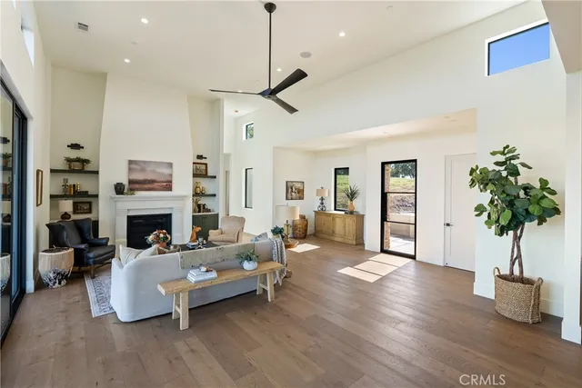 a living room with furniture fireplace and potted plant
