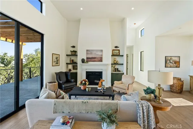 a living room with furniture fireplace and potted plant