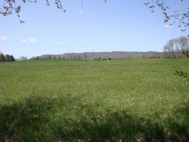 53 West Bailey Road Lewisburg, WV 24901 - Photo 12 of 14 view