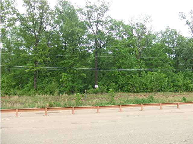 24 Ridgeside Drive, Unit 24 Brandon, MS 39042 - Photo 13 of 14 Photo 13