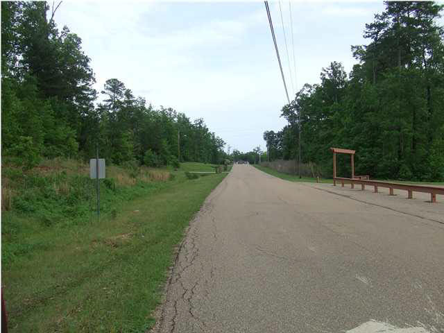 24 Ridgeside Drive, Unit 24 Brandon, MS 39042 - Photo 8 of 14 Photo 8