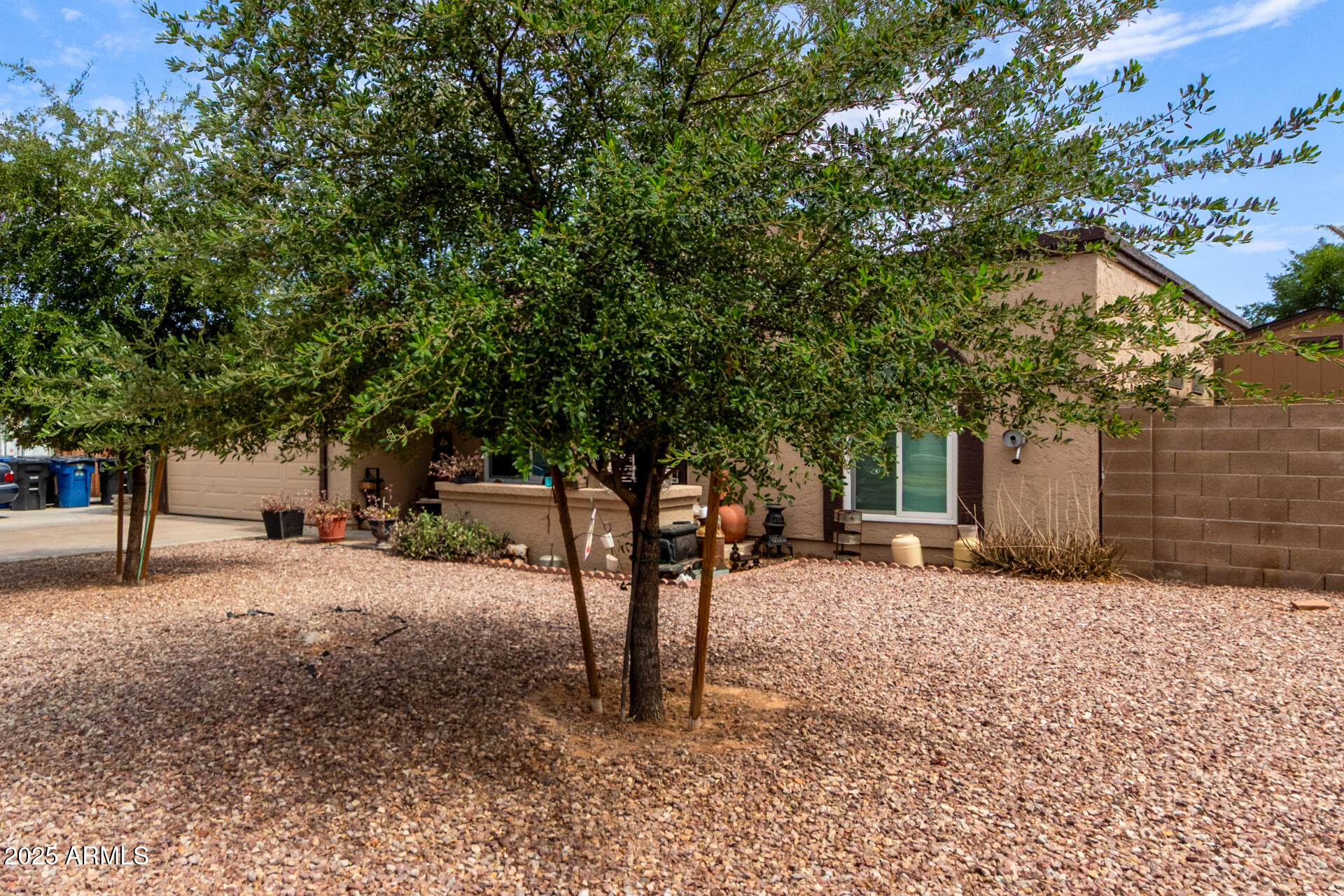 317 East Harwell Road Gilbert, AZ 85234 - Photo 3 of 29 a view of a tree in the middle of a yard