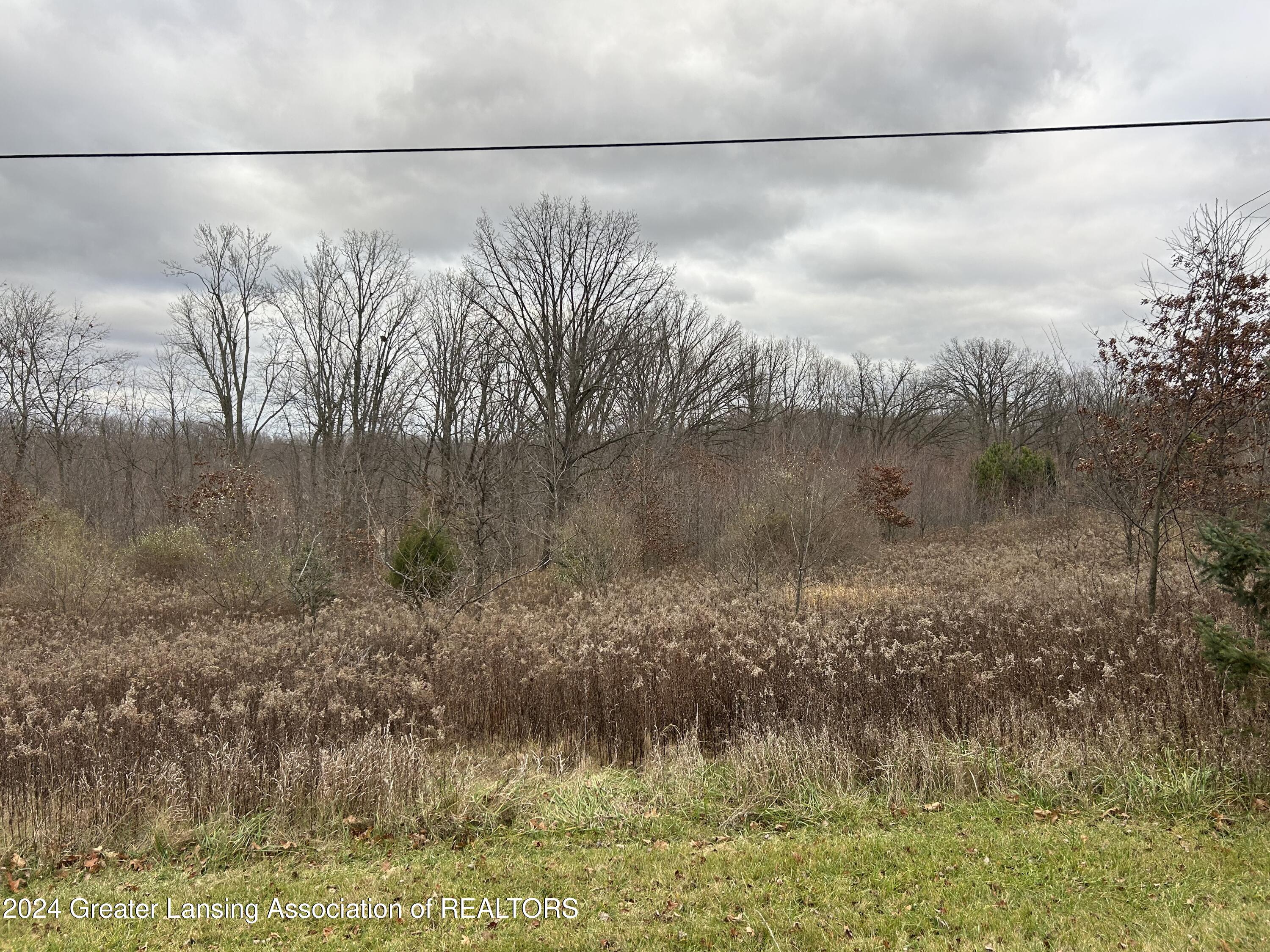 Vl South Ainger Road Olivet, MI 49076 - Photo 1 of 3 VL S Ainger
