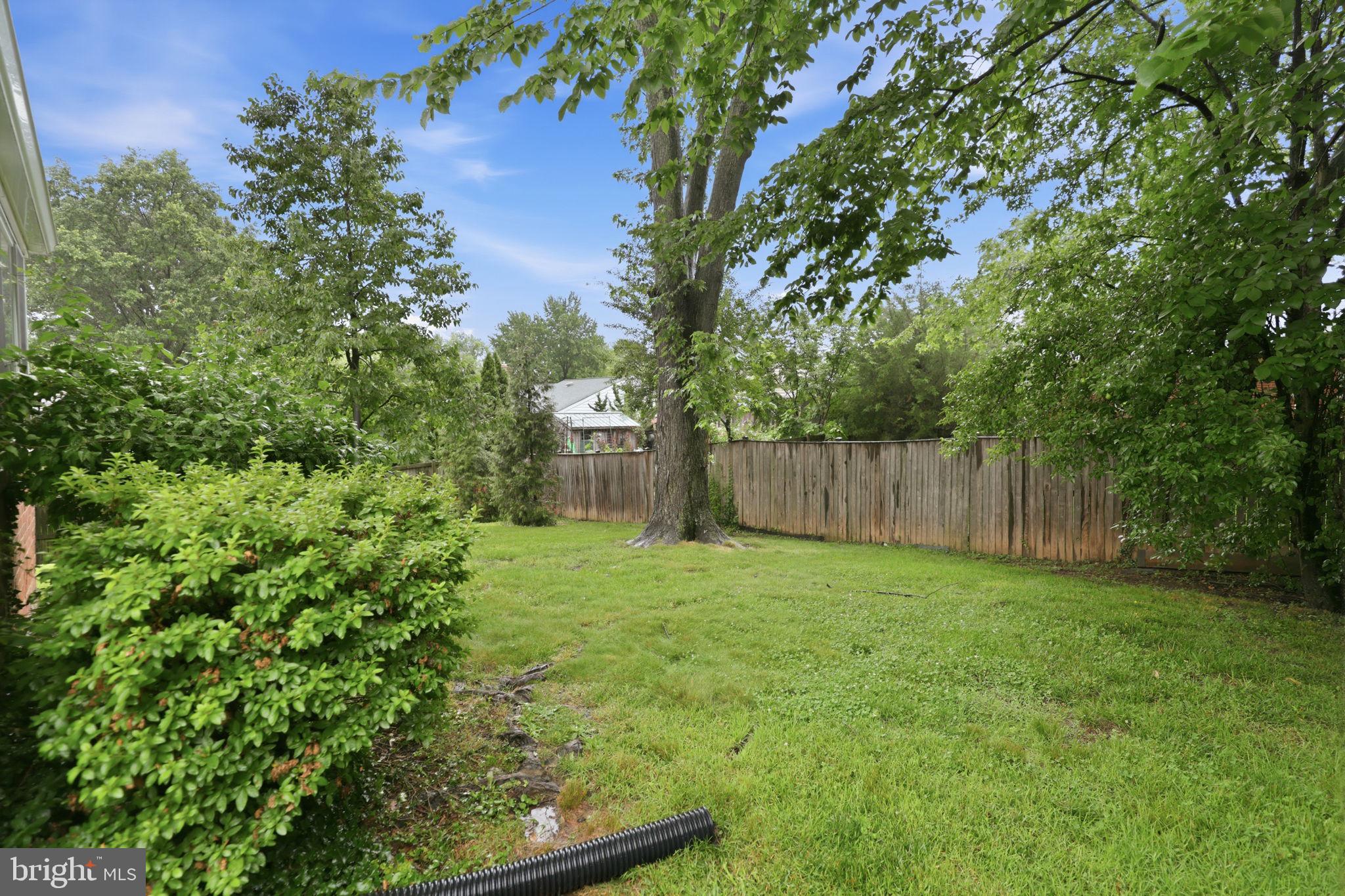 9706 Dameron Drive Silver Spring, MD 20910 - Photo 39 of 40