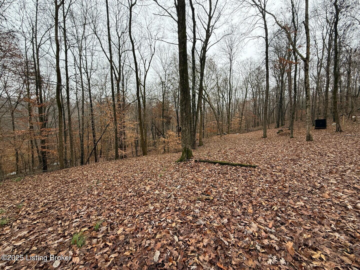 1101 Caneyville Cut Off Road Caneyville, KY 42721 - Photo 11 of 41 IMG_3308