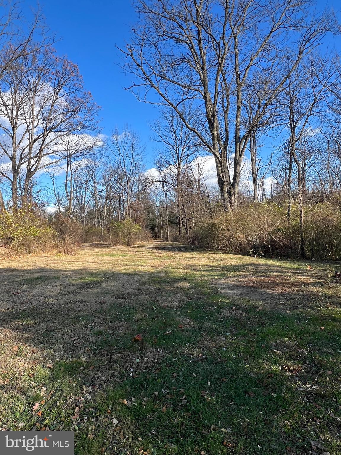 40 North Fileys Road Dillsburg, PA 17019 - Photo 25 of 25 a view of yard with green space