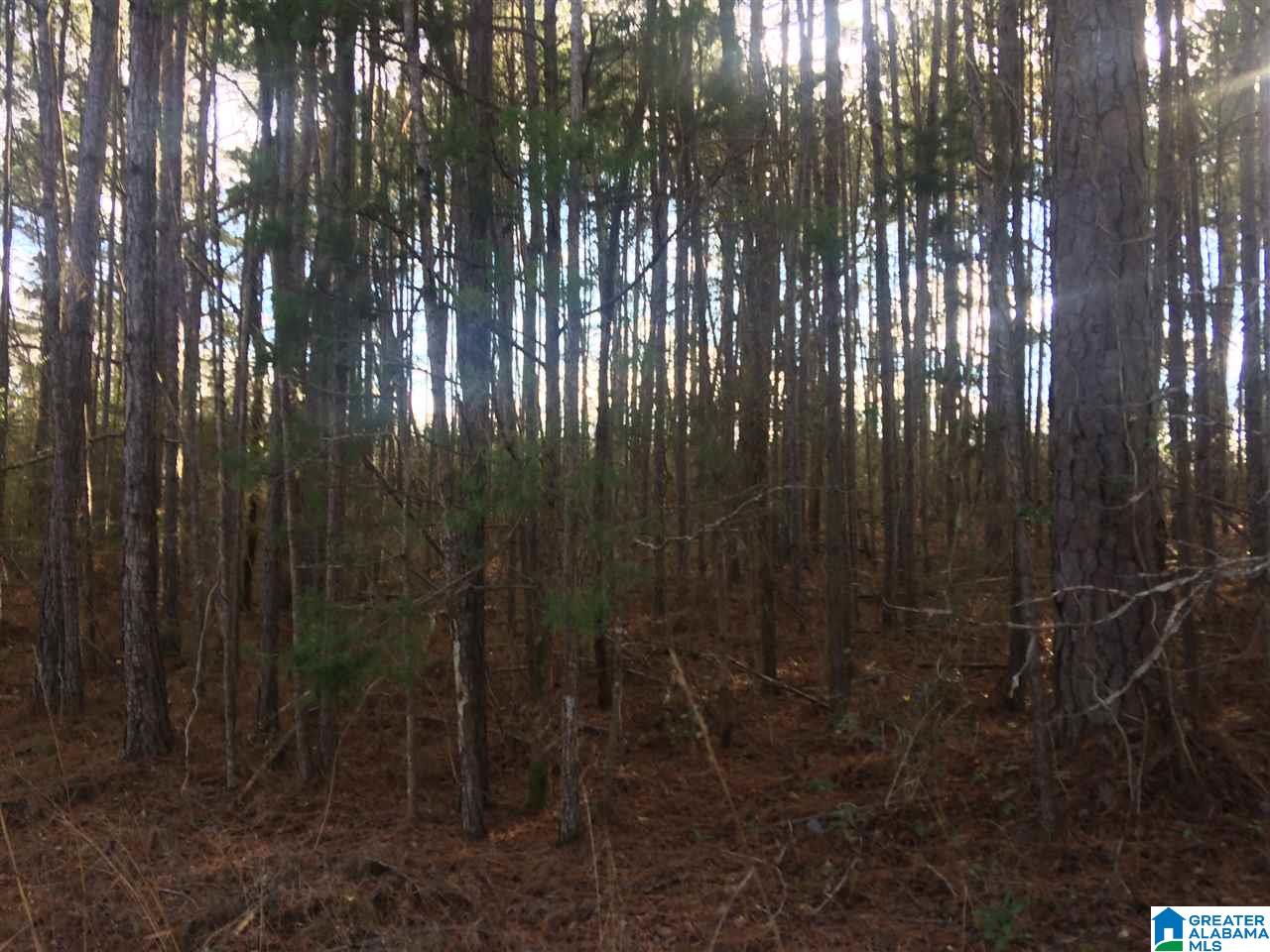 0 Booger Hollow Road, Unit 1 Dadeville, AL 36853 - Photo 1 of 3