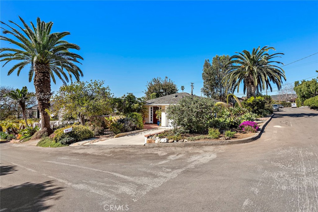 490 Shadow Lane Laguna Beach, CA 92651 - Photo 14 of 18 a view of a house with a yard and palm trees