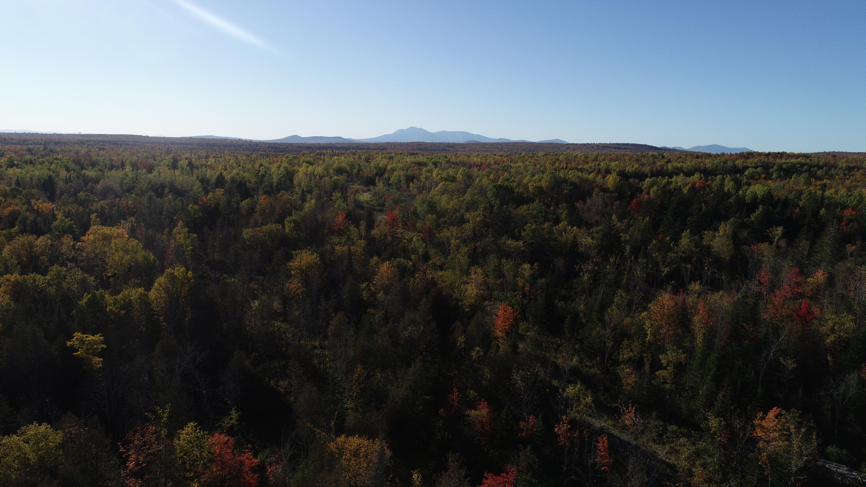 715 Benedicta Road Benedicta, ME 04733 - Photo 7 of 31 DJI_0057