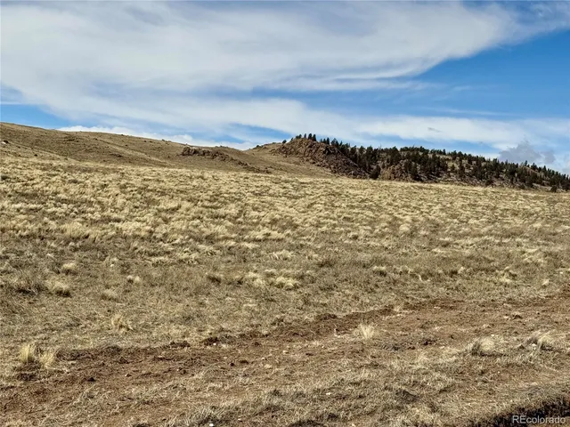 $99,000 | Antero Drive, Hartsel, CO 80449