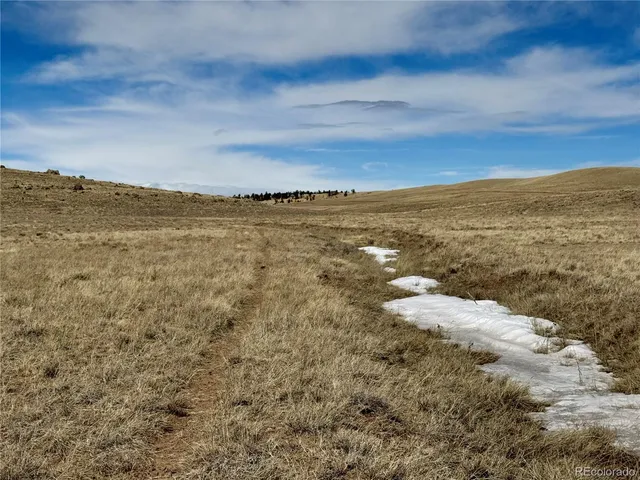 $99,000 | Antero Drive, Hartsel, CO 80449