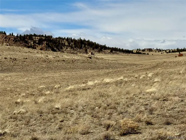 $99,000 | Antero Drive, Hartsel, CO 80449