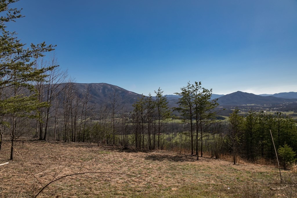 2 Which A Way Sevierville, TN 37862 - Photo 4 of 22
