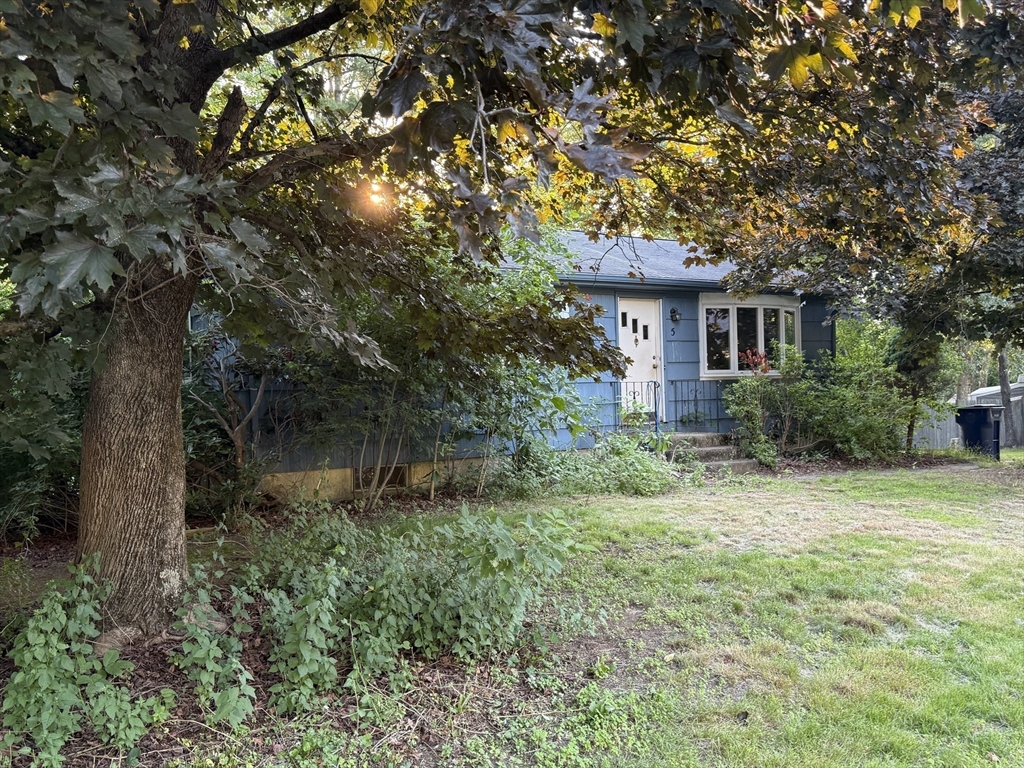 5 Delmar Road Medway, MA 02053 - Photo 15 of 15